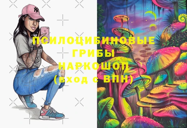 марки lsd Белокуриха